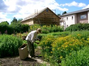 KitchenGarden